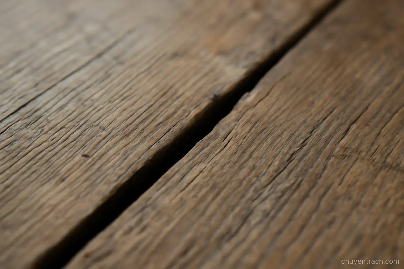 a narrow gap between two old wooden floorboards seen close up in plain daylight