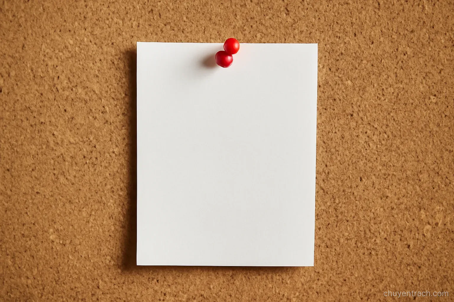a single sheet of paper pinned to a plain corkboard with one red drawing pin